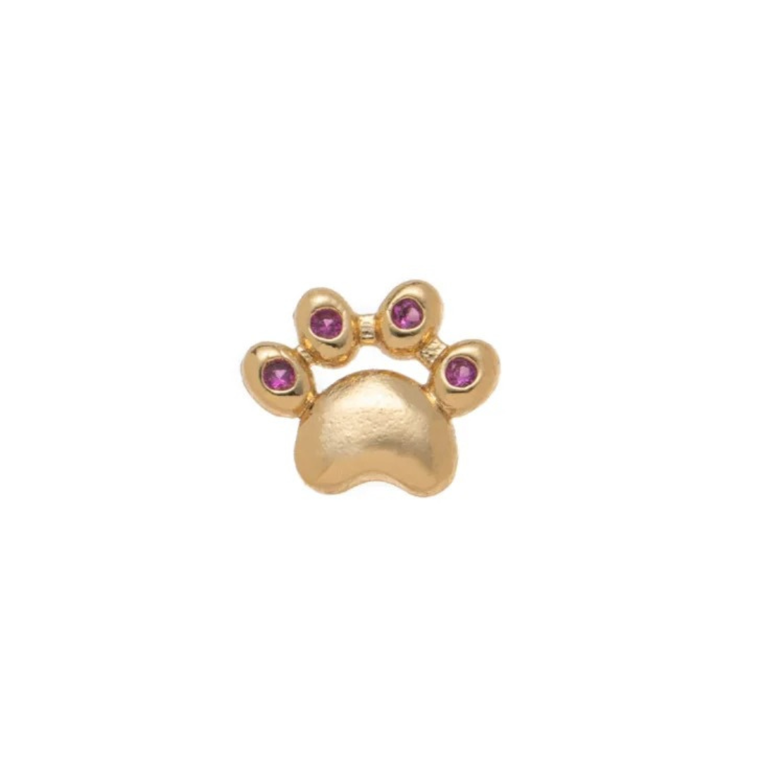 Paw