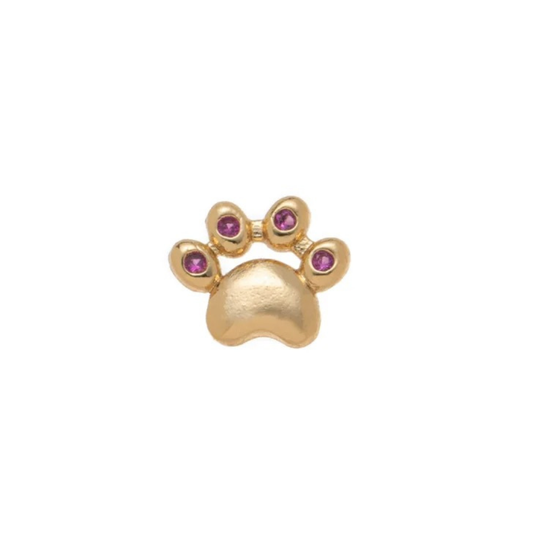 Paw