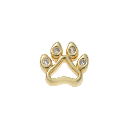 Puppy paw